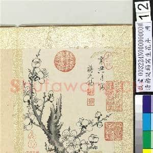 清蒋廷锡写生花卉 册 梅花|1幅|10.85 MB|高清下载
