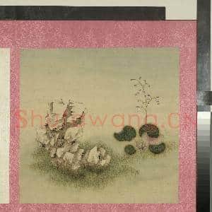 清蒋廷锡花卉 册 虎耳草|1幅|10.86 MB|高清下载