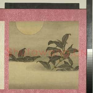 清蒋廷锡花卉 册 月桂图|1幅|10.35 MB|高清下载