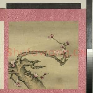 清蒋廷锡花卉 册 梅花|1幅|10.52 MB|高清下载