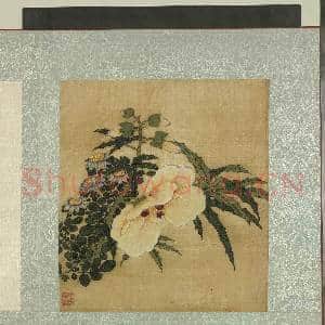 清蒋廷锡花卉草虫 册 秋葵雏菊|1幅|12.18 MB|高清下载