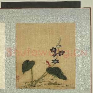 清蒋廷锡花卉草虫 册 豆娘|1幅|11.77 MB|高清下载