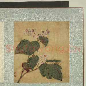 清蒋廷锡花卉草虫 册 秋海棠|1幅|11.78 MB|高清下载