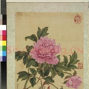 清蒋廷锡画花鸟 册 牡丹|2幅|21.64 MB|高清下载