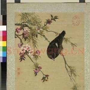 清蒋廷锡画花鸟 册 桃柳鸜鹆|1幅|10.63 MB|高清下载