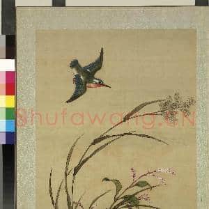 清蒋廷锡画花鸟 册 芦蓼翡翠|1幅|10.19 MB|高清下载