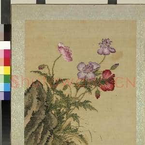 清蒋廷锡画花鸟 册 罂粟|1幅|11.24 MB|高清下载