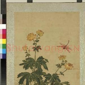 清蒋廷锡画花鸟 册 金莲蜻蜓|1幅|10.47 MB|高清下载