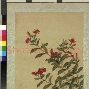 清蒋廷锡画花鸟 册 山丹络纬|1幅|10.34 MB|高清下载