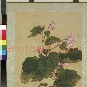 清蒋廷锡画花鸟 册 秋海棠|1幅|10.9 MB|高清下载