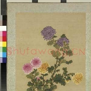 清蒋廷锡画花鸟 册 菊花|1幅|10.48 MB|高清下载