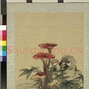 清蒋廷锡画花鸟 册 紫芝竹石|1幅|10.51 MB|高清下载
