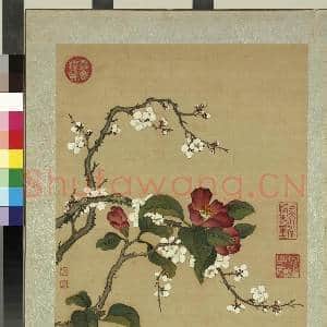 清蒋廷锡画花鸟 册 梅花山茶|1幅|10.35 MB|高清下载