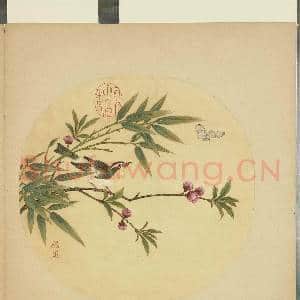 清蒋廷锡画花鸟 册 桃竹画眉|2幅|18.07 MB|高清下载