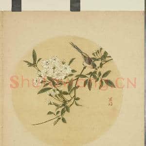 清蒋廷锡画花鸟 册 贴梗海棠|1幅|9.43 MB|高清下载