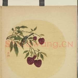 清蒋廷锡画花鸟 册 荔枝小禽|1幅|9.34 MB|高清下载