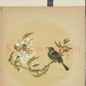 清蒋廷锡画花鸟 册 梨花|1幅|9.5 MB|高清下载