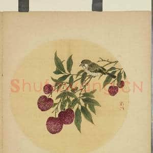 清蒋廷锡画花鸟 册 荔枝|1幅|9.5 MB|高清下载