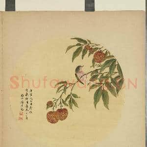 清蒋廷锡画花鸟 册 荔枝|1幅|9.44 MB|高清下载