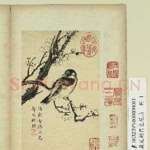 清蒋廷锡写生花鸟 册 梅影鸟声|2幅|14.89 MB|高清下载
