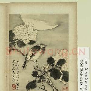 清蒋廷锡写生花鸟 册 鸟梦悠然|1幅|7.92 MB|高清下载