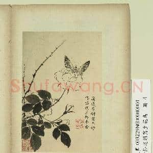 清蒋廷锡写生花鸟 册 飞随芳树|1幅|7.48 MB|高清下载