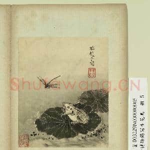 清蒋廷锡写生花鸟 册 荷蛙蜻蜓|1幅|7.26 MB|高清下载