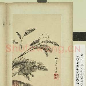 清蒋廷锡写生花鸟 册 草虫天牛|1幅|7.68 MB|高清下载
