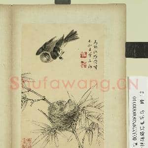 清蒋廷锡写生花鸟 册 鸟雏张嘴|1幅|7.67 MB|高清下载