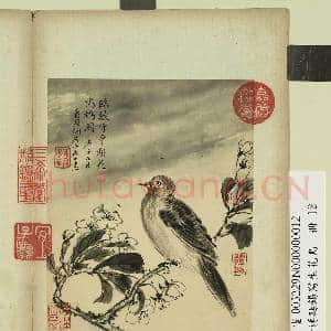 清蒋廷锡写生花鸟 册 梨花鸣鸠|1幅|7.96 MB|高清下载