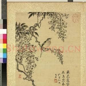 清蒋廷锡仿宋人花鸟 册 紫藤|1幅|11.75 MB|高清下载