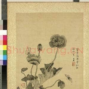 清蒋廷锡仿宋人花鸟 册 罂粟来蝶|1幅|11.42 MB|高清下载