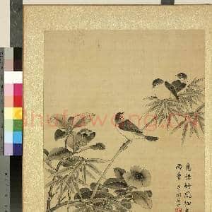 清蒋廷锡仿宋人花鸟 册 雀竹茶花|1幅|11.51 MB|高清下载