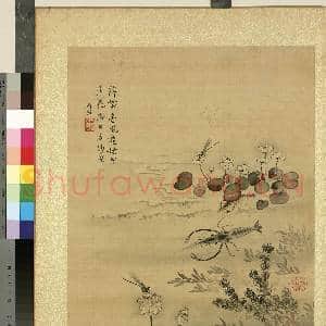 清蒋廷锡仿宋人花鸟 册 豆娘荷花|1幅|11.27 MB|高清下载