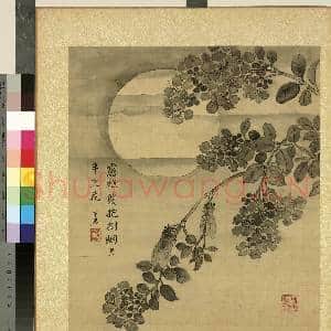 清蒋廷锡仿宋人花鸟 册 蝉鸣紫薇|1幅|11.72 MB|高清下载