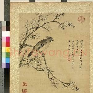 清蒋廷锡仿宋人花鸟 册 黄连雀|1幅|11.34 MB|高清下载