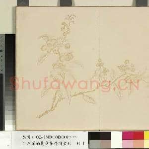 清王图炳夏景花卉诗画册 册|4幅|25.28 MB|高清下载