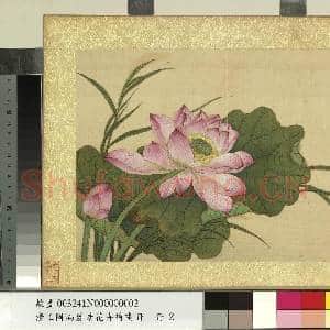 清王图炳夏景花卉诗画册 册 莲花|1幅|11.94 MB|高清下载