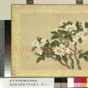 清王图炳夏景花卉诗画册 册 栀子花|1幅|11.68 MB|高清下载