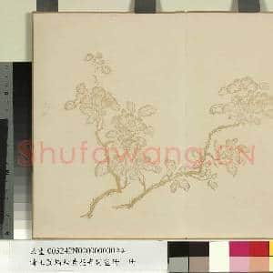 清王图炳秋景花卉诗画册 册|4幅|25.02 MB|高清下载