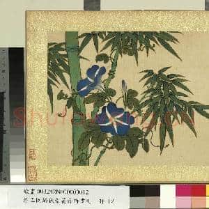 清王图炳秋景花卉诗画册 册 牵牛花|1幅|12.12 MB|高清下载