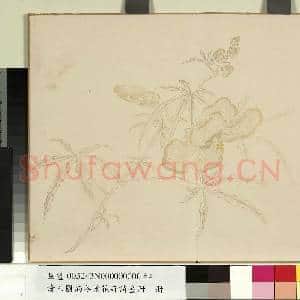 清王图炳冬景花卉诗画册 册|4幅|25.16 MB|高清下载