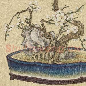清王图炳冬景花卉诗画册 册 盆梅|3幅|38.34 MB|高清下载