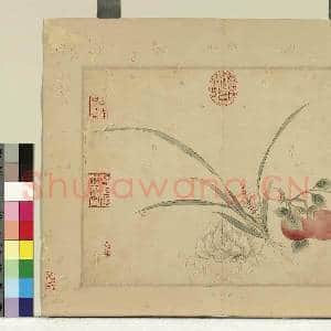 清陈书摹古 册 花果|1幅|7.1 MB|高清下载