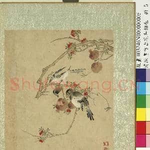 清陈书仿古花卉翎毛 册 石榴喜鹊|1幅|11.25 MB|高清下载