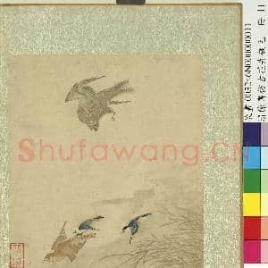 清陈书仿古花卉翎毛 册 芦苇翔鹰|1幅|10.94 MB|高清下载