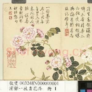 清邹一桂画花卉 册 木香十姊妹|1幅|9.54 MB|高清下载