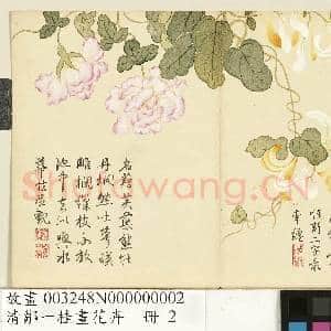 清邹一桂画花卉 册 金银藤缠枝莲|1幅|9.19 MB|高清下载