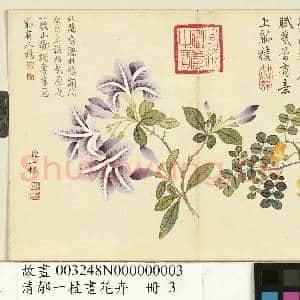 清邹一桂画花卉 册 金雀杜鹃|1幅|9.24 MB|高清下载