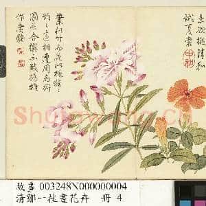 清邹一桂画花卉 册 剪春罗夹竹桃|1幅|9.39 MB|高清下载